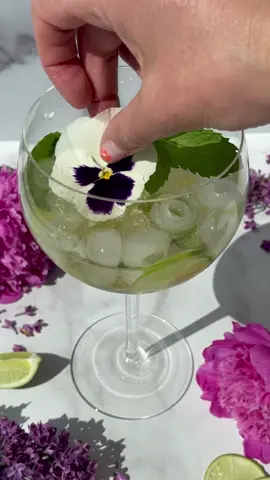 The Hugo Spritz to the song I can’t get out of my head 🍾✨🌱