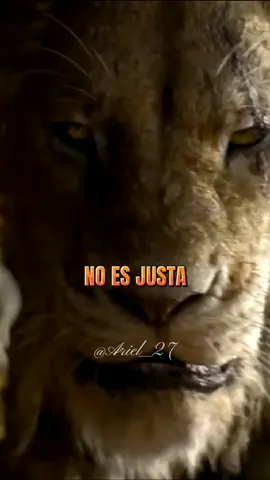 Responder a @juanromero68126 La Vida no es justa. #parati #frases #frasesdevillanos #reyleon #vida