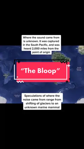 These audio freaks me out because it almost sounds like a melody in the beginning #thebloop #deepocean #theunknown #deepseacreatures #thalassaphobia #BBPlayDate #FORDfortheBuilders #ShowYourJOWO #LIKEABOMBSHELL