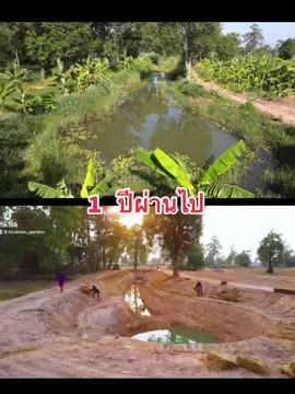 ความเปลียนเเปลงใน1ปี#สวนลุงนนท์ #อีสานบ้านเฮา #ศรีสะเกษ #เกษตรผสมผสาน #โคกหนองนา #โคกหนองนาโมเดล #ธรรมชาติ