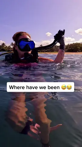 Just wanted to pop in! As soon as the ocean clears up, we’ll be back out there! Until then, you’ll have to put up with my shark & whale videos 😘😅🦈🐳 #comedivewithus #hawaii #scubatiktok