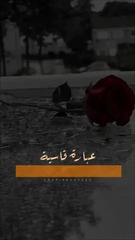 قناتي بالبايو