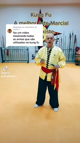 Responder @rezn1k_1 #tskf #kungfu #wushu #louvaadeus #artesmarciais #shaolin
