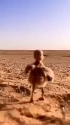 #عايزه_اهرب_من_الناس_والدنيا