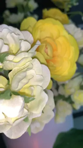 #cleanhouse #yellowdecor #decor #livingroomdecor #decorinspo #decoraciondeinteriores #saladecorada #decoracionamarilla #amarillo #youtuber #decortiktok #glamdecor #decoracion #decoracionglam #motivaciontiktok