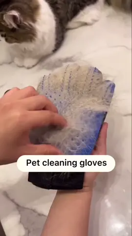 Pet cleaning gloves#petcat #cleaning #goodthing #🧤 #petsupplies #cats