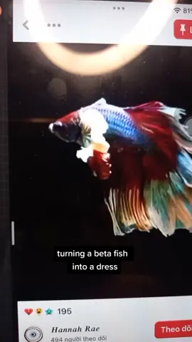 beta fish + dress = ? #betafish #dress #fashion #digitalart #paintingideas