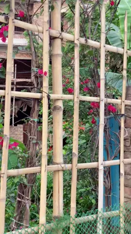 I am alone 🙂#foryoupge