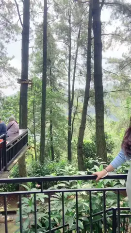 #CapCut