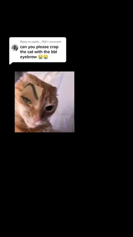 Reply to @sophh._702 you ask and you shall receive