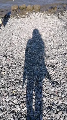 #ايزيدخان_شنكال_عراق #كوجو#خانصور #ايزدي#وافتخر