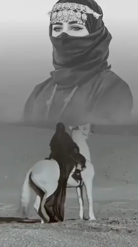 يا هلا بالزين كله.. 🐎