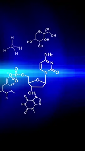 #Science #chemistry #physics #biology #geology #astrophysics #marinebiology #entomology #sciences #scienceclass #scienceteacher #teamscience #graduation #graduate #student #intern #professor #nerdy #geekchic #stem #scientist #scientists #scienceisawesome #fypシ
