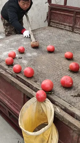 🤣🤣🤣 #wow #idea #oddlysatisfying #satisfying #LearnOnTikTok #relax #fyp #asmr