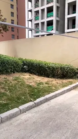 Sấy khô ngoài trời thực phẩm chắc chắn mấy bác làm đồ dùng cái này là hết ý #giadungtienich