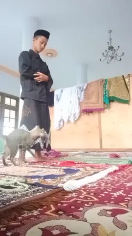 hidup lh enkau dengan ku doarrrr😹😹#viraltiktok #berjalansendiri #kucinglucutiktok #berandafyp