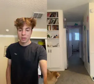 #duet with @jurassicah  #starwarstheclonewars #obiwan #kenobi #kenobiseries #starwars #starwarsfan