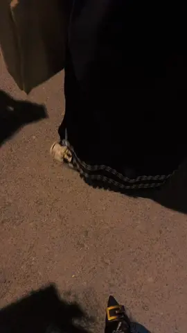 #foryou #fyp #الهاشتاقات_للرخوم #expression #explor #اكسبلورexplore #fypシ يلا يلا ورانا عرس😭😭😭🏃🏽‍♀️