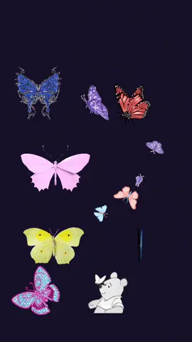 Let’s grow #teamwork #fypシ #letsgrow #teamwork #friendship #butterflies #likeandshare❤ #doubletap❤️