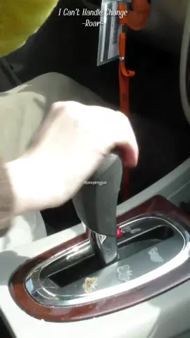 I Can’t Handle Change - Roar #plaeplenggun #thaisub #แปลเพลง #lyrics