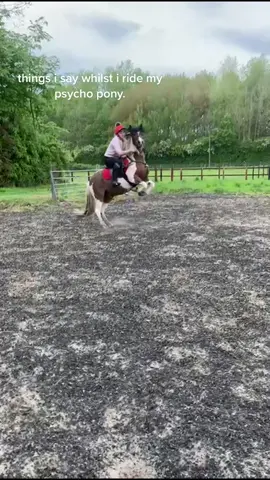 lovely #foryoupage #equestrian #showjumping #jumping #equine #thingsisay #rearing #pshycopony