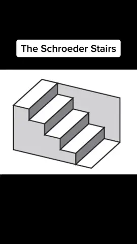 The schroeder stairs #puzzle##illusion#opticalillusion#fact#facts#funfacts