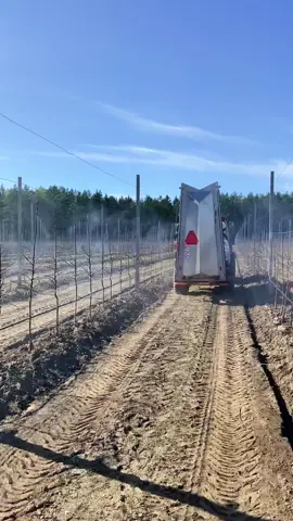 Садовый вентиляторный опрыскиватель в деле