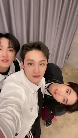 돼끼의 첫 틱톡.. 쓰리라차와 함께 #StrayKids #스트레이키즈