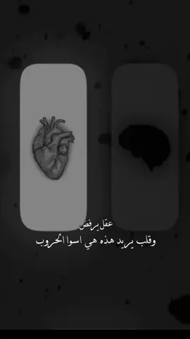#اكسبلور #max_sy  ✨🖤🖇️