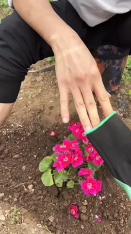 Gardening gloves,workingwithout fear of hurting your fingers,weeding and digging can be used.#clawgloves