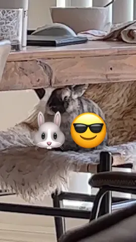 Um… hello #headofthetable