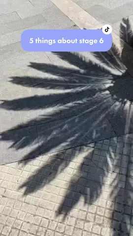 🖐 things about stage 6️⃣ #giro #giroditalia #5things #arnauddemare #tiktokcalabria #calabria #cycling #regionecalabria #cyclinglife #cyclingpassion