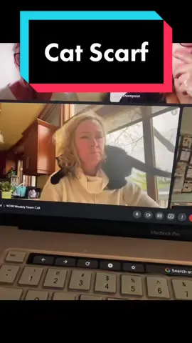 Business Cats make meetings so much better. #cats #catsoftiktok #zoomcat