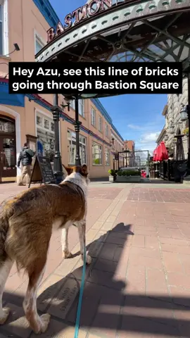 Learning about Victoria secrets with Azu #explorevictoria #explorebc #bastionsquare #heelersoftiktok #victoriassecrets #tourguide #victoriahistory