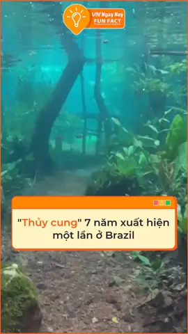 Ngập lụt biến khu bảo tồn thiên nhiên ở Brazil thành thủy cung #tiktoknews #vnnnfunfact #vnnn#fyp#foryoupage#khampha #dulich #chuyenla