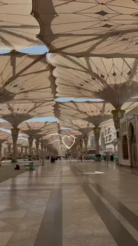 #رقت_عيناي_شوقا_ولطيبة_ذرفت_عشقا #المدينه_المنوره #الحرم_النبوي #اللهم_صل_وسلم_على_نبينا_محمد  🤍.