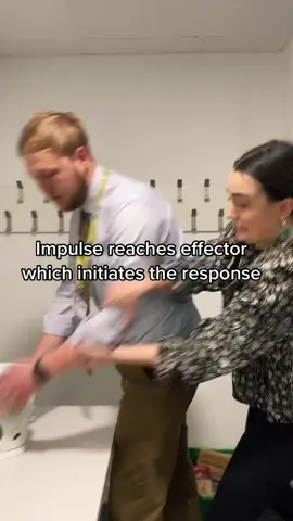 You asked, we delivered! #tiktok #tiktoker #tiktokschool #nervoussystem #kettle #tea #hot #reaction #reflex #teachersoftiktok #exam #revision #gcse #gcses #stimulus #receptor #response #fyp #foryou #viral #foryourpage #tt #xybca ##biology #Science #school