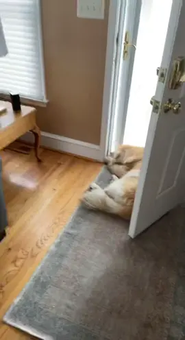 I still listened mom