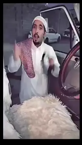 العيون محبين شاص تيوتا