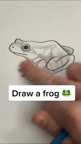 Draw a frog 🐸 #draw #drawing #howtodraw #frog #frogs