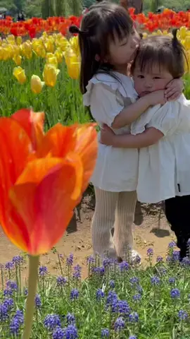 最後まで見てね🫣#子どものいる暮らし #姉妹 #誰も知らない君を見せて