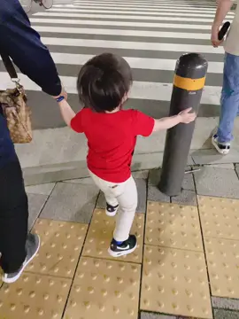 #横断歩道はこう渡る#双子 #次男
