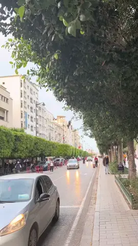 شارع الحبيب بورقيبة تونس