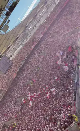 #vfb #vfbstuttgart #1893 #0711 #stuttgart0711  #cannstatterkurve #ultras #bundesliga #fussball #live #stadium #fyp #fürdich #fypシ #foryourpage #fürdichseite #viral #goviralgo #badenwürttemberg