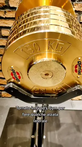 Voi invece per cosa li usate questi? 👀🔥 #athlete #fititalia #naturalbodybuilding #bodybuilding #GymTok #inba #fit #Fitness #bodybuilder #training #gymtokitalia #manubri #goldsgym