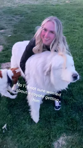 That’s a big doggie