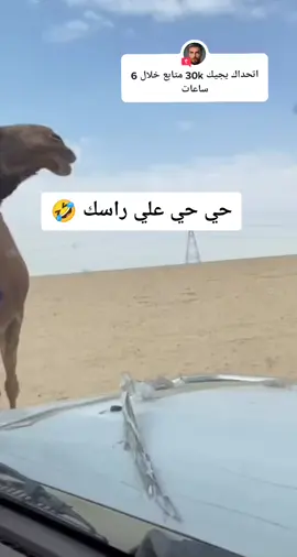 #إجابة عن @3lisad_