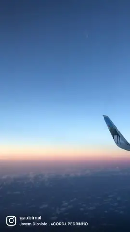 living my life #fyp #brasil #intercambio #estadosunidos