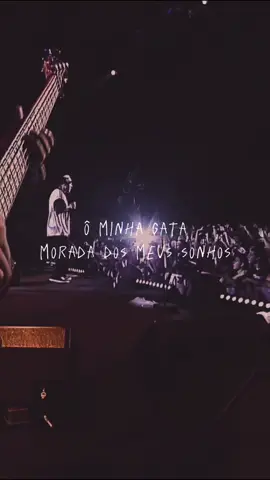 ô minha gata, morada dos meus sonhos… ✨#chorao #choraoeterno #choraovive #trechosdemusicas #musicasbrasileiras #rockbrasileiro #charliebrownjr #cbjr #cbjrfrases #vaiprofycaramba