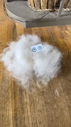 #greatpyrenees #puppies